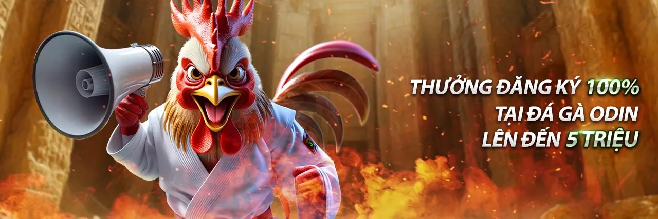 Hình ảnh Chính Sách Cookie của qq8889 login